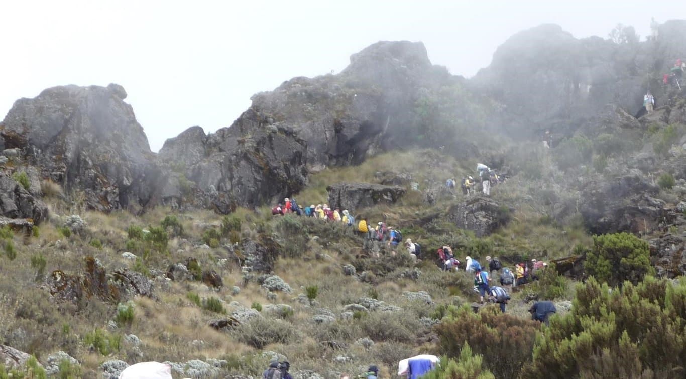 Photo 3 of 7-Day Machame Route Climb to Kilimanjaro's Summit