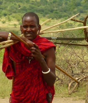 5-Day Lake Manyara, Tarangire, Ngorongoro, Maasai Boma Odyssey