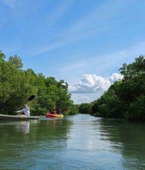 The Full Tanzania: AFCON Arusha, Dar es Salaam, and Zanzibar Plus Safari