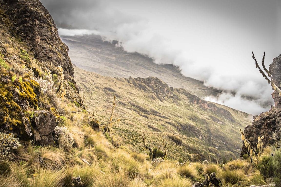 Photo 3 of 8-Day Lemosho Route to Kilimanjaro Summit