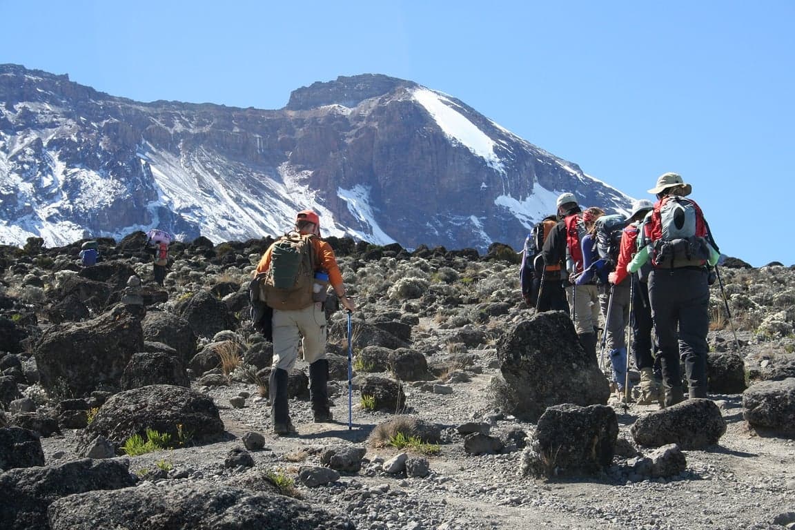 Photo 4 of 7-Day Tanzania Shira Route Trek