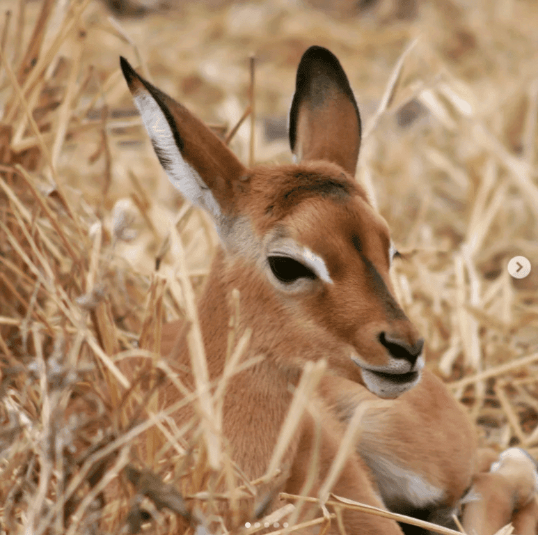Photo 4 of 6-Day Warrior Trails: Northern Tanzania Adventure