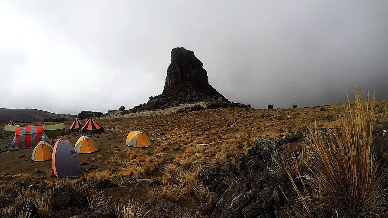 8-Day Lemosho Route to Kilimanjaro Summit