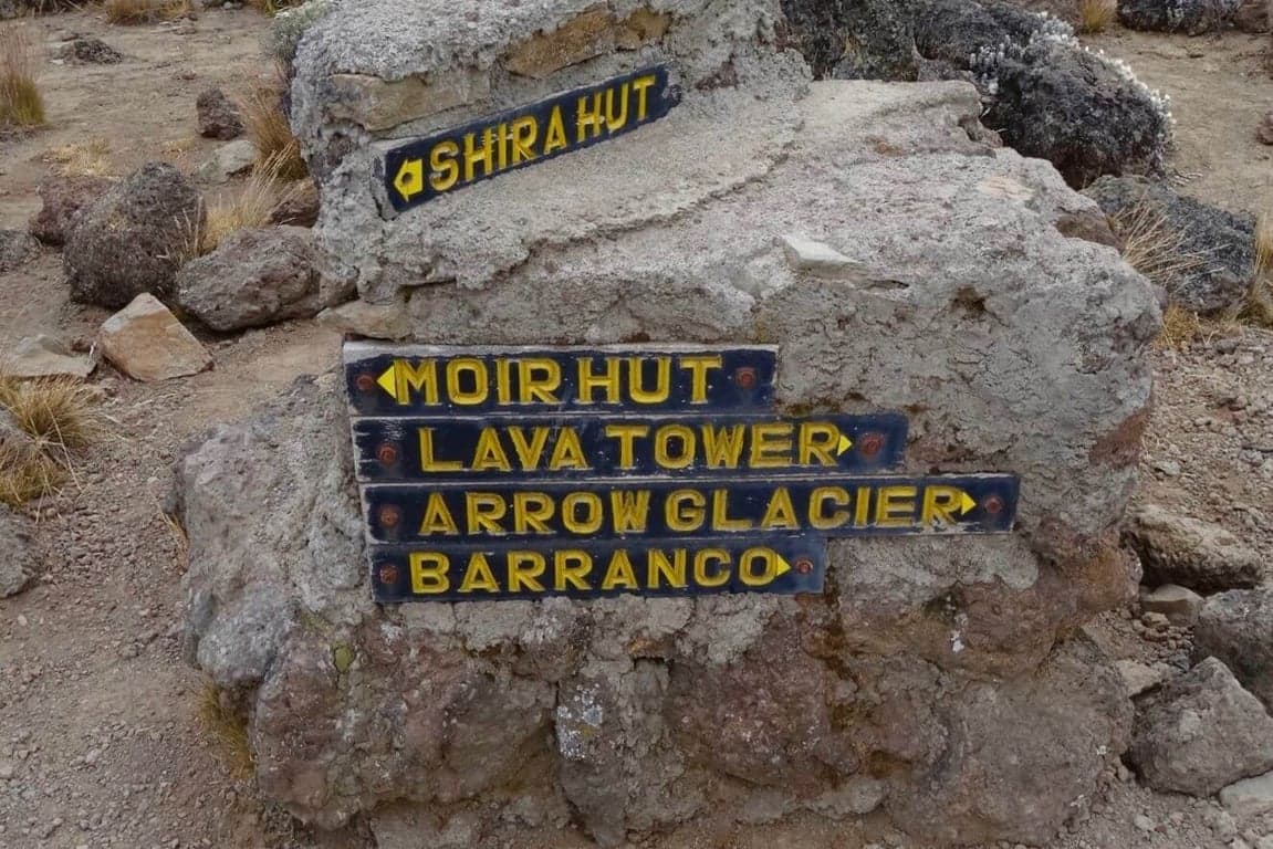 7-Day Machame Route Climb to Kilimanjaro's Summit