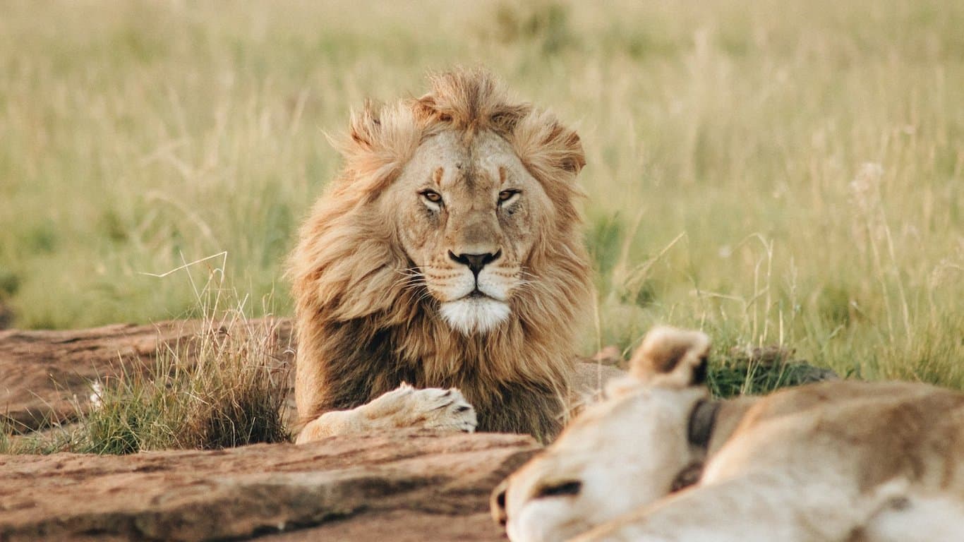 Semuliki National Park