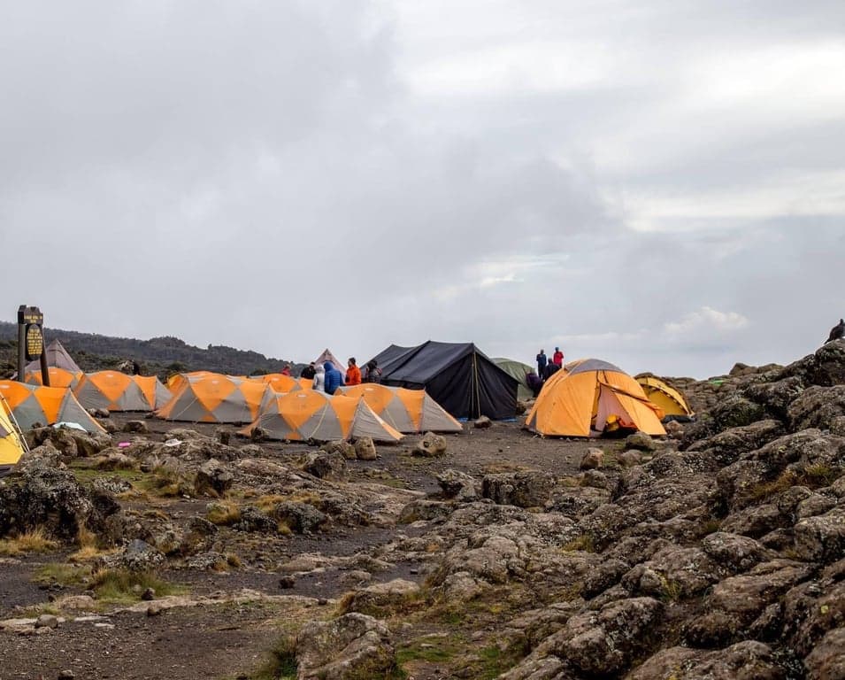 Day 2 — Drive to Londorossi Gate, Trek to Shira 1 Camp