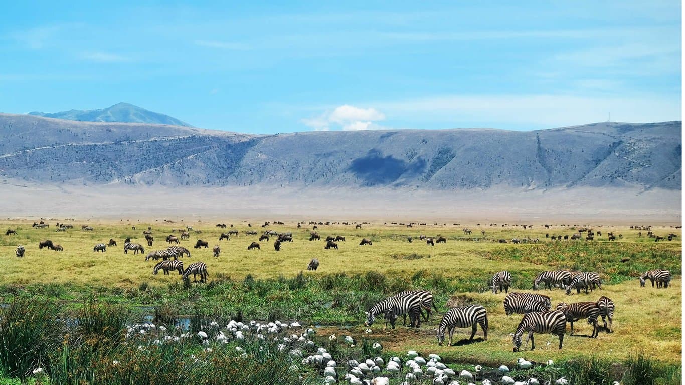 Mount Kenya