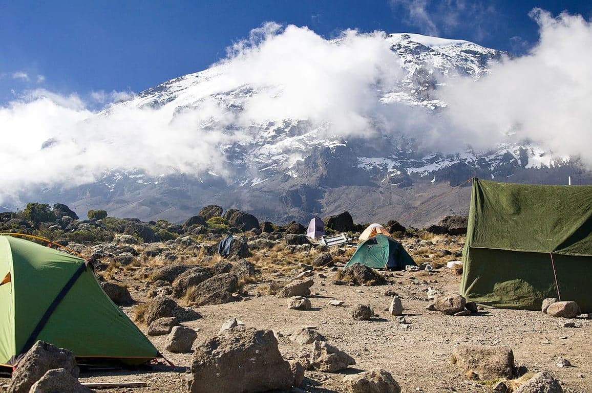 Photo 2 of 8-Day Lemosho Route to Kilimanjaro Summit