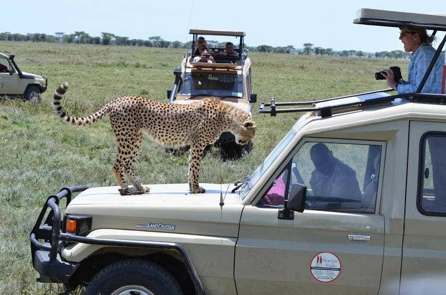 20-Day Northern & Southern Tanzania Grand Safari