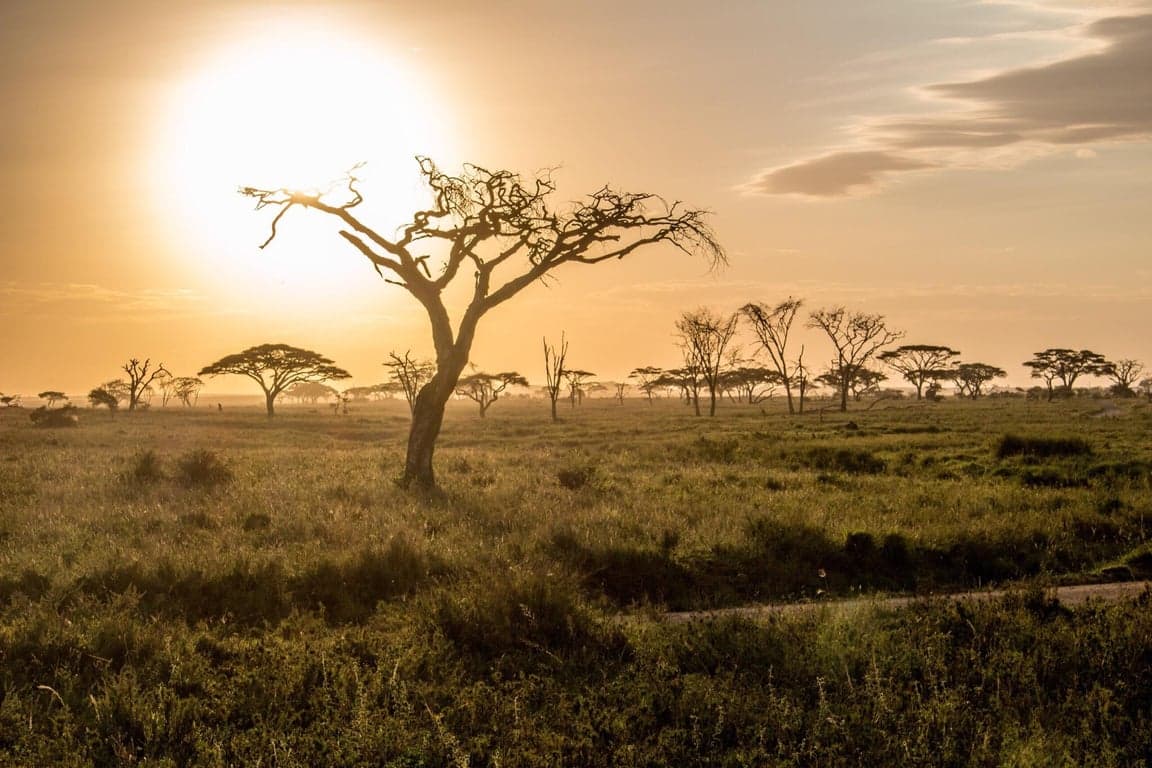 Serengeti National Park